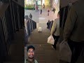 so cute video doggrinding short videos etc#funny #love #dog #puppy