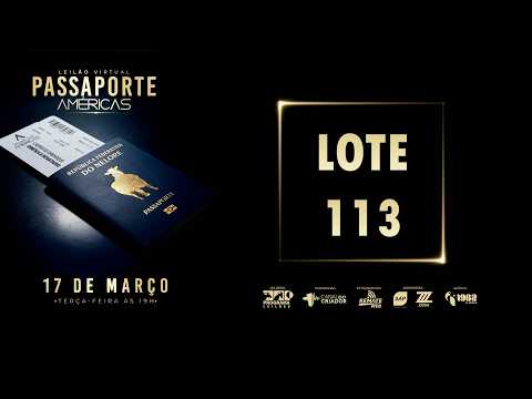 LOTE 113   AMG FIV DAS AMÉRICAS