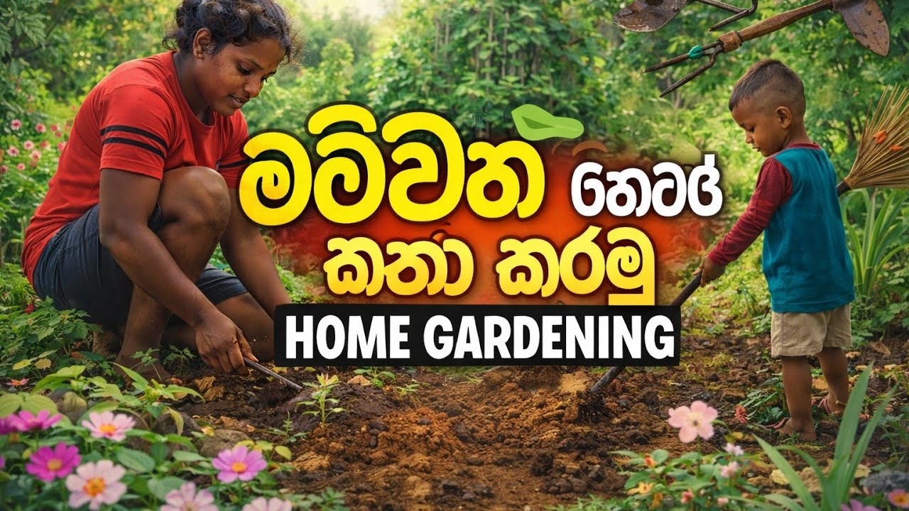 අලුත් විස්තර ටිකක් අරන් ඔන්න දිගටම එන්න ලෑස්තිය, අලුත්ම විදිහට පෙර සූදානම 