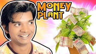 If Money Plant is Real | Hindi Comedy Video | Pakau TV Channel