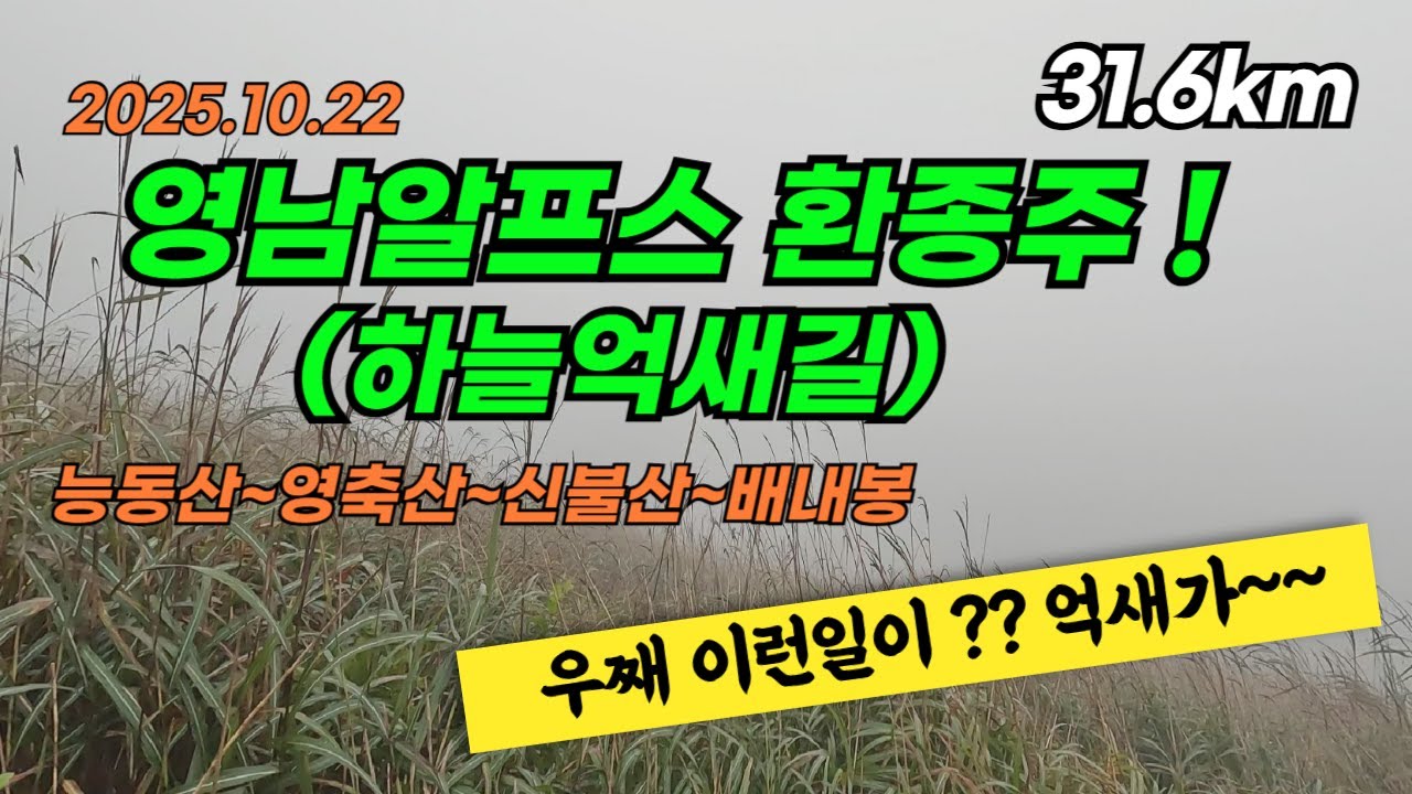 25년 영남알프스 역대급 최악 억새!! 무박 환종주! 능동산/천황산/영축산.핵곰탕속 멋진 산행!