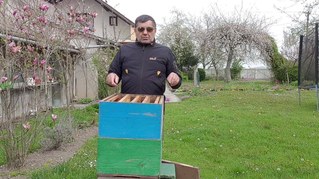 DIZANJE RAMOVA DA SE RAZVIJU.18.04.2021.