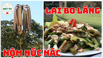 NỘM NÚC NÁC | QUẢ NÀY ĂN NGON LẮM #HETTV  #dacsantaybac
