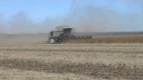 Gleaner R76 cutting 60 bu. beans