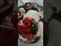 اللى بينا غنوه حلوه