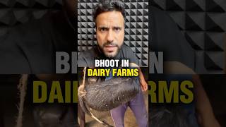 Ab Male Calf Ko Kyu Jaan Ke  Maarte Hai ? | Science and Fun #ashusir #shorts #dairyfarm #ytshorts Net Worth