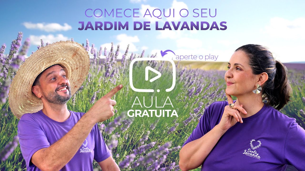 Como Cultivar Lavanda em Casa: O Método Simples Que Qualquer Pessoa Pode Seguir