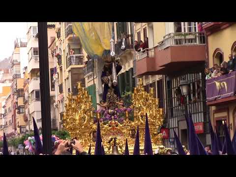 Real, Excelentísima, Muy Ilustre y Venerable Cofradía de Culto y Procesión de Nuestro Padre Jesús Nazareno Titulado “El Rico” y María Santísima del Amor