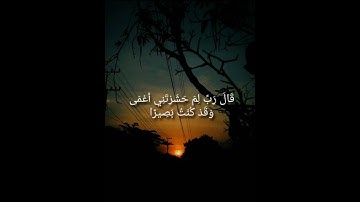 قَالَ رَبِّ لِمَ حَشَرْتَنِي أَعْمَى   القارئ اسلام صبحي 1