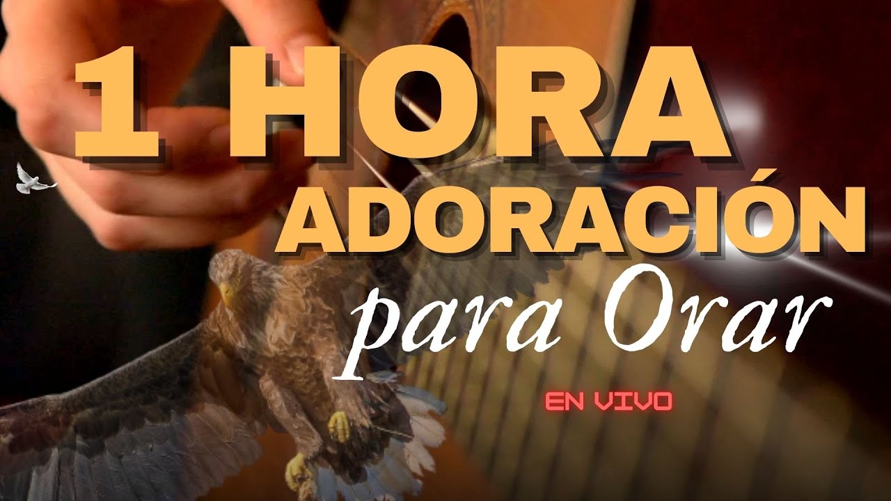 Estás ADORACIÓN TE ACERCARÁN A DIOS / Maycol Rodríguez