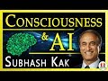 Subhash Kak on: AI & Consciousness.