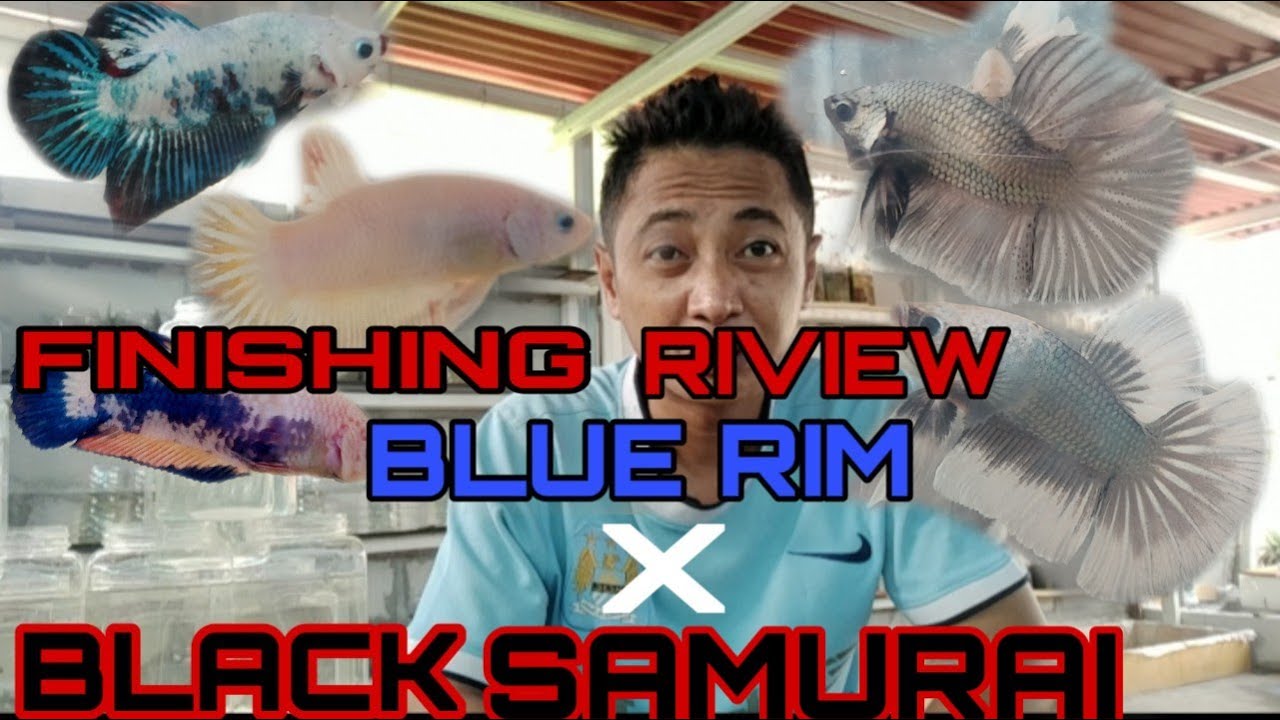 FINISHING REVIEW BURAYAK BLUE RIM X BLACK SAMURAI