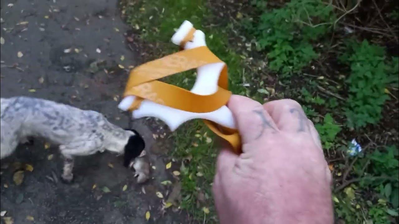 shooting rats with slingshot catapult gamekeeper John catapults blood