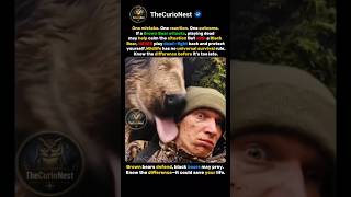 BROWN BEAR VS BLACK BEAR: KNOW THE DIFFERENCE 🐻