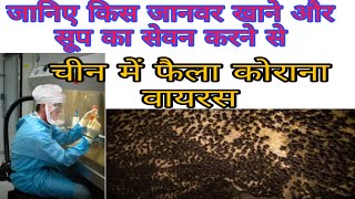जनए कस तरह क जनवर क खन स Chin Me Faila Korana Viruskorna Virus News
