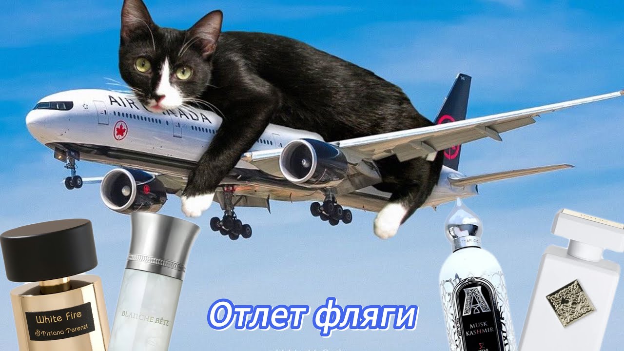 Вы отлетите! | Воздушный мускус в ароматах