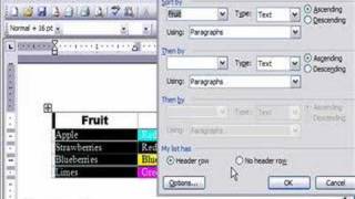 Create Columns (Tables) in Microsoft Word - Part 2 Net Worth