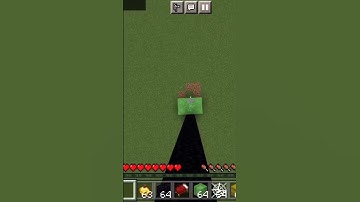 Cobweb mlg in minecraft #shortvideo #trending