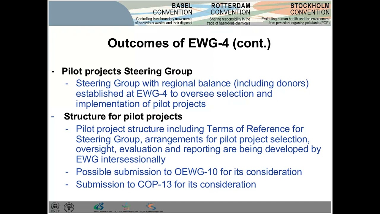 Outcomes of the fourth meeting of the Expert Working Group on ESM