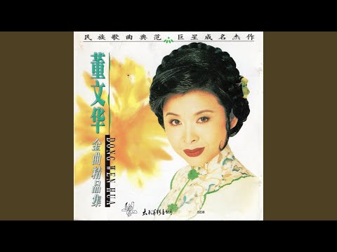 我用胡琴和你说话