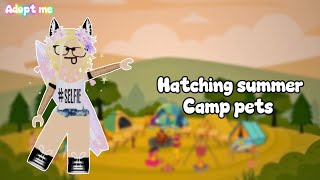 Exploring the new summer camp in adopt me! And hatching egges