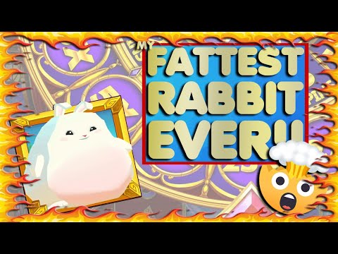 Spiele jetzt im Casino Fat Pirate Online und erlebe den ultimativen Nervenkitzel