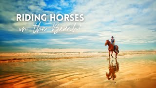 Beach Horseback in Christchurch