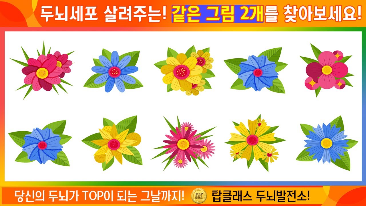 두뇌세포 살려주는 같은꽃찾기!  같은 그림 2개를 찾아보세요! [Find 2 same images in 30 seconds!]