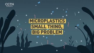 Microplastics - small thing, big problem