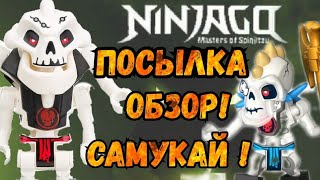 LEGO NINJAGO посылка с кучей скелетов 2011! Обзор. (Самукай)