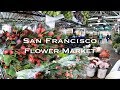 サンフランシスコのフラワーマーケットに行ってきたよ♡ Bechelli's Flower Market Cafe