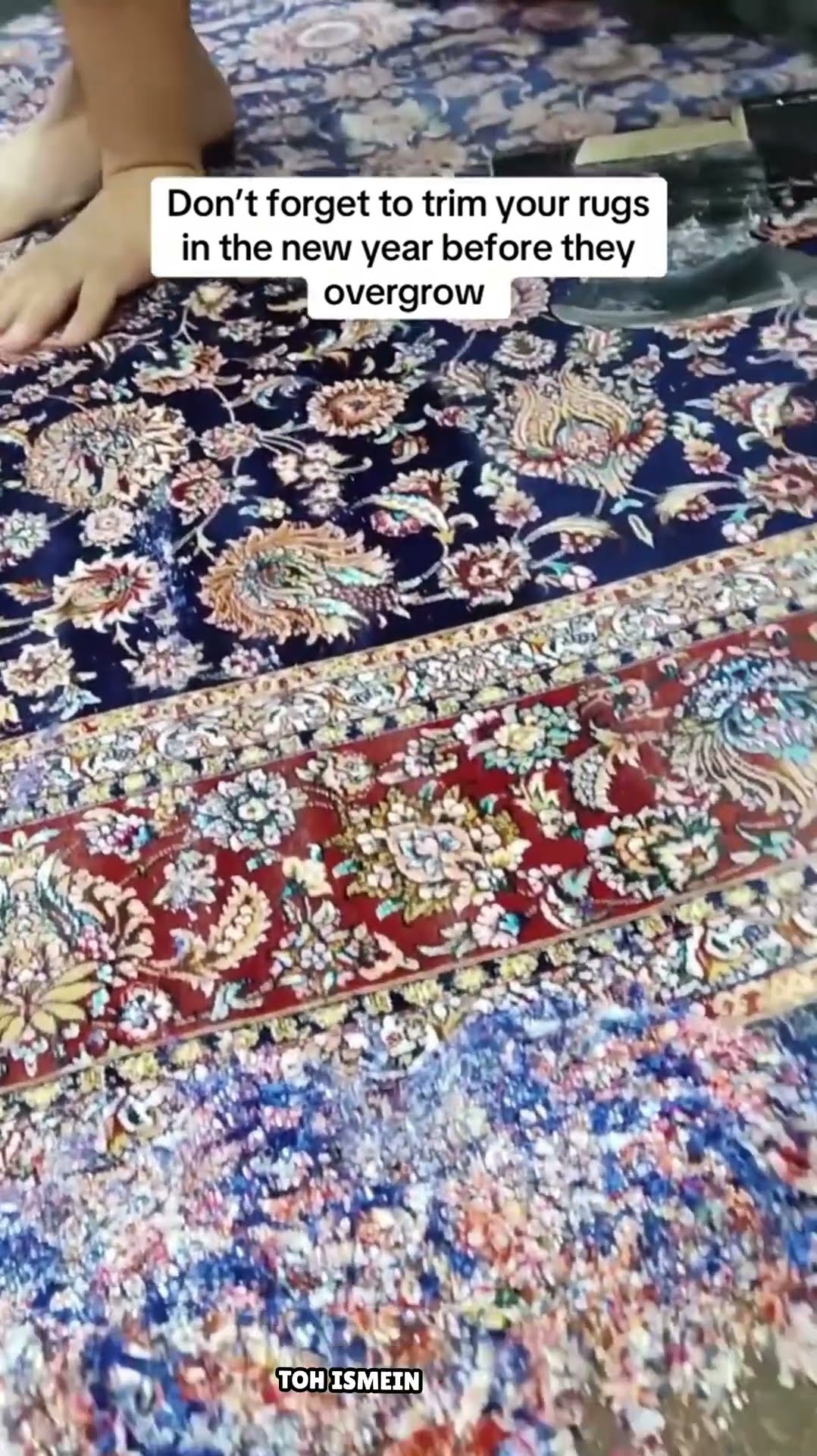 Carpet saving #shortvideo