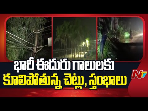 Machilipatnam: Electric Polls, Trees Falling Apart With The Effect of Cyclone Montha | NTV Telugu - NTVTELUGU