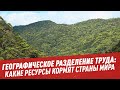 Географическое разделение труда: какие ресурсы кормят страны мира - Школьная программа для взрослых