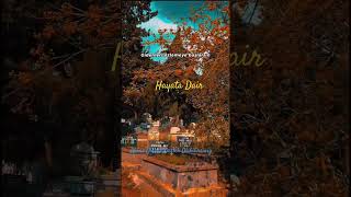 İnsanlar Gider, Fotoğraflar Kalır Geriye Resimi