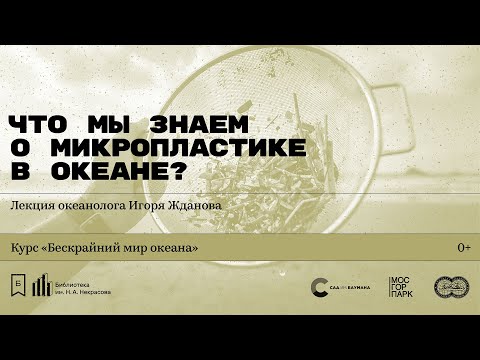 «Что мы знаем о микропластике в океане?» Лекция океанолога Игоря Жданова