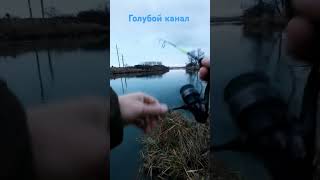 #окунь #fishing #рыбалка #ставрополь #отводнойповодок #джигриг
