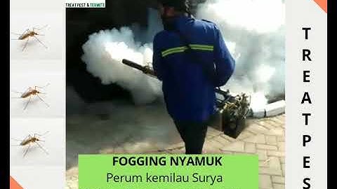 081331000710 ,Jasa Fogging nyamuk di Sidoarjo perumahan Kemilau Surya Calista