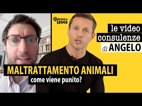 Maltrattamento animali: come viene punito? | avv. Angelo Greco
