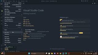 Auto Save problem in VS code 