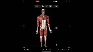 iMuscle 2 Fitness App QUICK tour - AWESEOME tech! screenshot 1