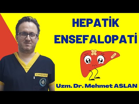 Video: Hepatik Ensefalopatili Köpekleri Besleme