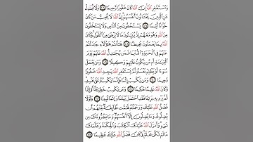 سورة النساء آية ٦-١٣ #اكسبلور#القران #القاري attaullahfarooqi55 عطاء الله فاروقي من الدوحة قطر