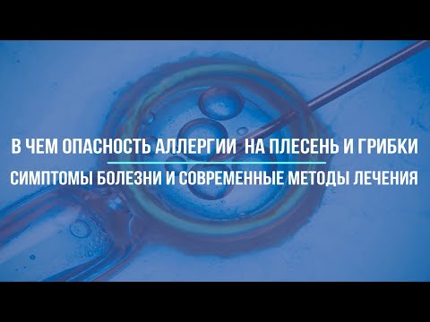 В чем опасность аллергии на плесень и грибки - симптомы болезни и современные методы лечения