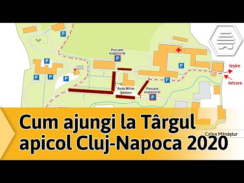 Video: Cum Se Ajunge La Târgul Sorochinskaya-2012