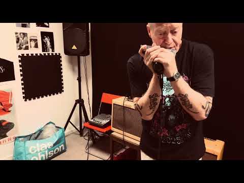 As the Years Go Passing By - Blues Chromatic Harmonica