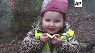 Forest schools popular in Sweden