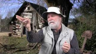 Brer Rabbit & The Briar Patch