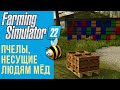 🐝 Всё о пчёлах в Farming Simulator 22