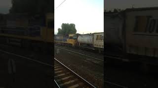 IMG 3789